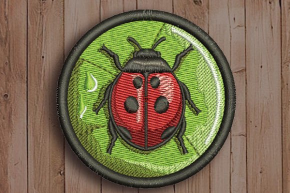 Ladybug in Circle: A Designer’s Review for Personalized Gifts