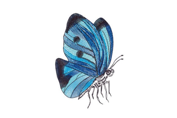Reviewing Blue Butterfly Drawing for Boutique Sweatshirts