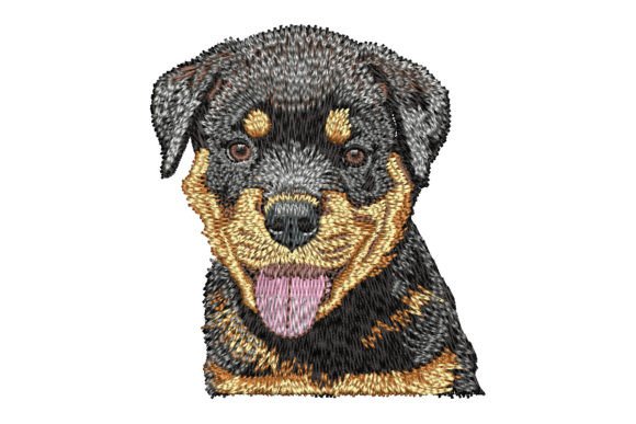 Rottweiler Puppy: A Designer’s Review for Custom Gifts